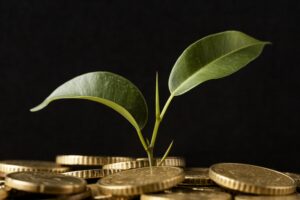 rztr11-tem-lucro-estavel-e-reforca-estrategia-em-ativos-agricolas