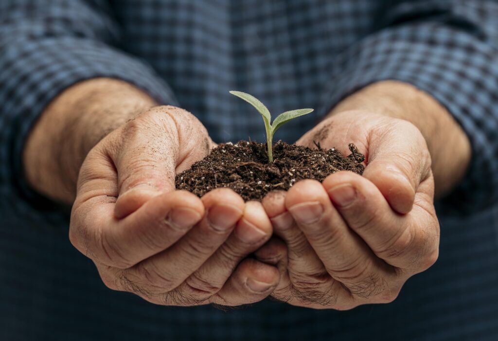 exportacoes-agro-golfo-impacto-fiagros